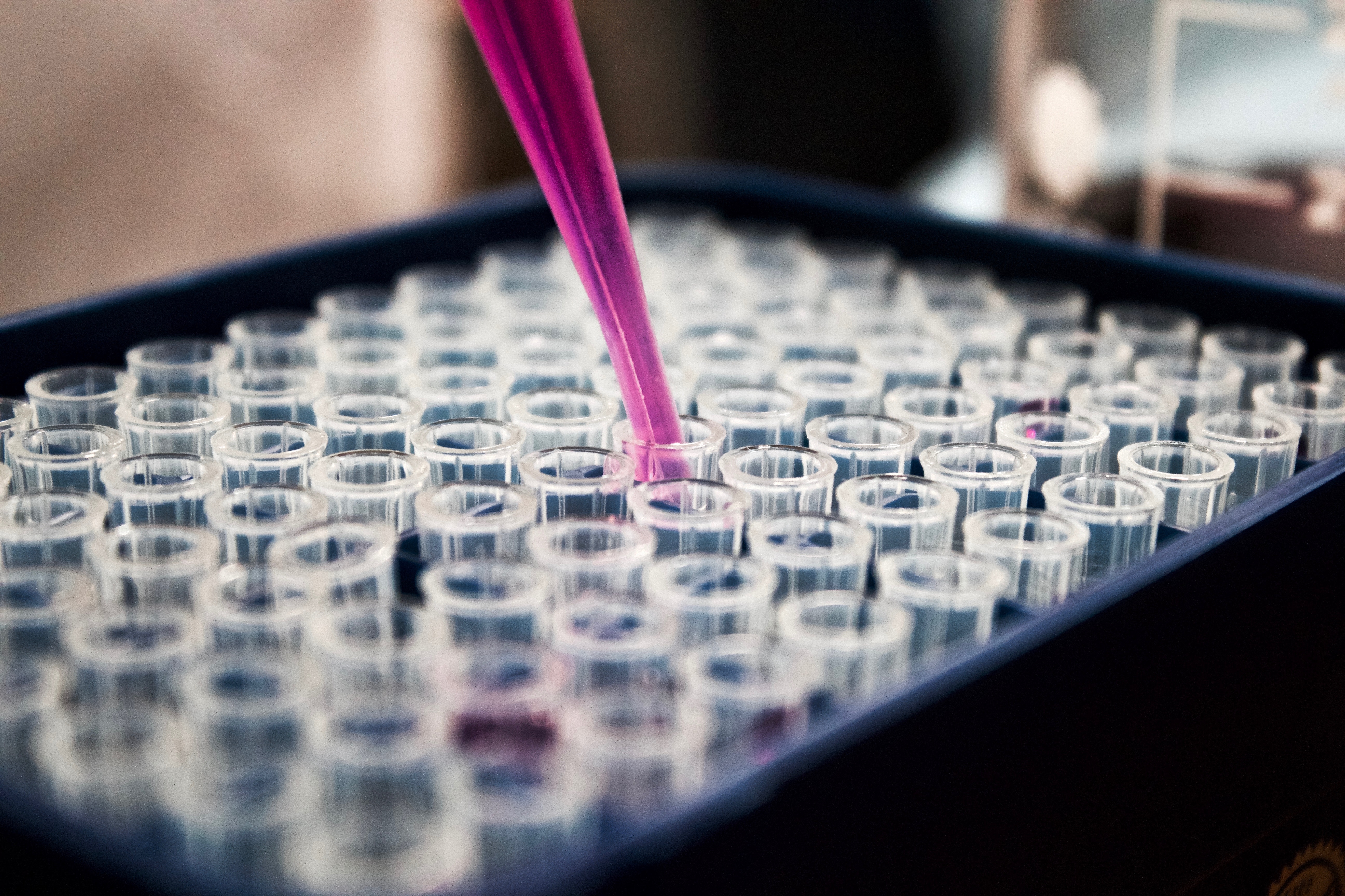 Picture of pipetting into a 96-well plate